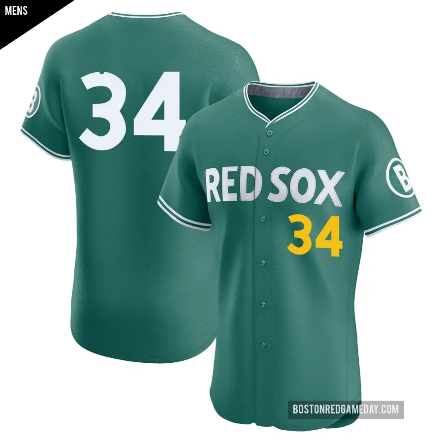 Men's Boston Red Sox ＃34 David Ortiz Elite Green 2025 City Connect Jersey