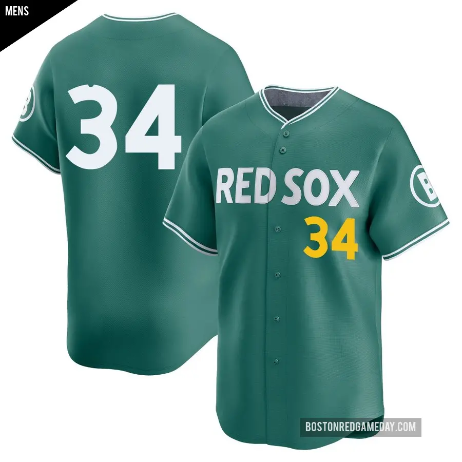 Men's Boston Red Sox ＃34 David Ortiz Limited Green 2025 City Connect Jersey