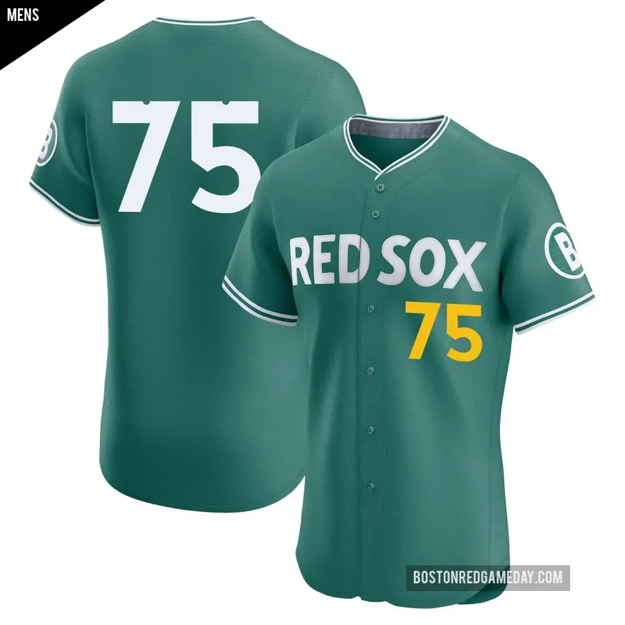 Men's Boston Red Sox ＃75 Carlos Narvaez Elite Green 2025 City Connect Jersey