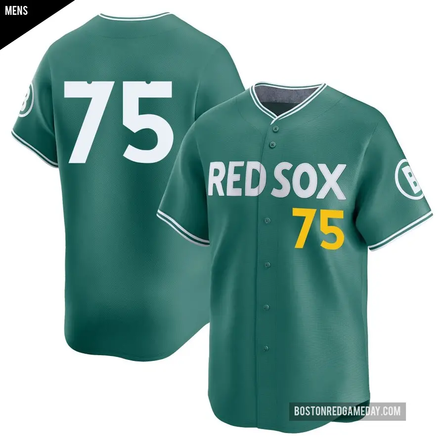 Men's Boston Red Sox ＃75 Carlos Narvaez Limited Green 2025 City Connect Jersey