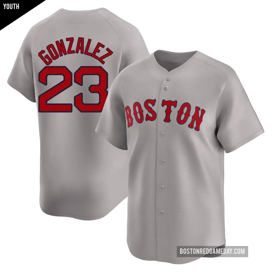 Youth Boston Red Sox ＃23 Romy Gonzalez Limited Gray Away Jersey