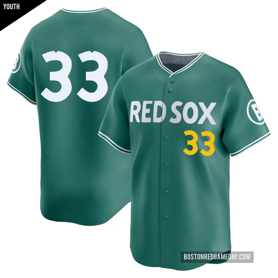 Youth Boston Red Sox ＃33 Jason Varitek Limited Green 2025 City Connect Jersey