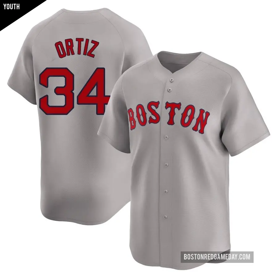 Youth Boston Red Sox &#65283;34 David Ortiz Limited Gray Away Jersey