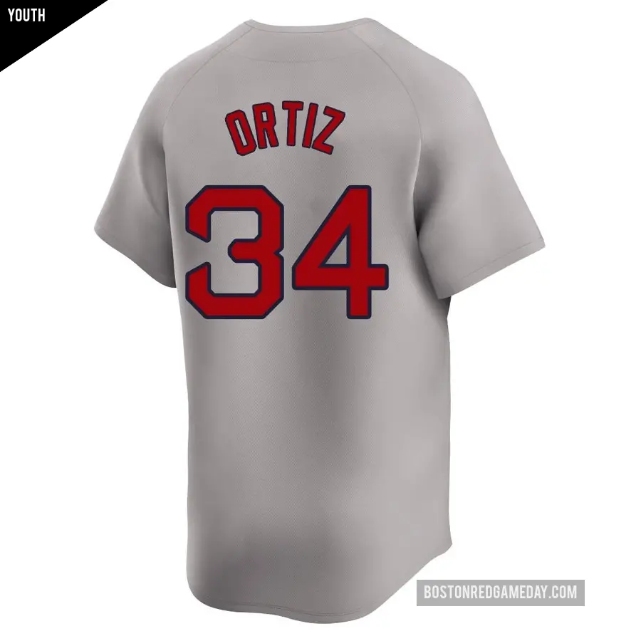 Youth Boston Red Sox &#65283;34 David Ortiz Limited Gray Away Jersey