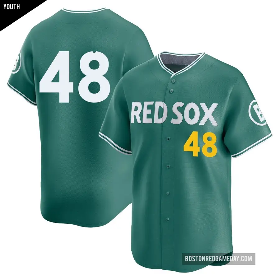 Youth Boston Red Sox ＃48 Chase Anderson Limited Green 2025 City Connect Jersey