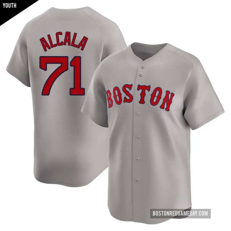 Youth Boston Red Sox ＃71 Jorge Alcala Limited Gray Away Jersey