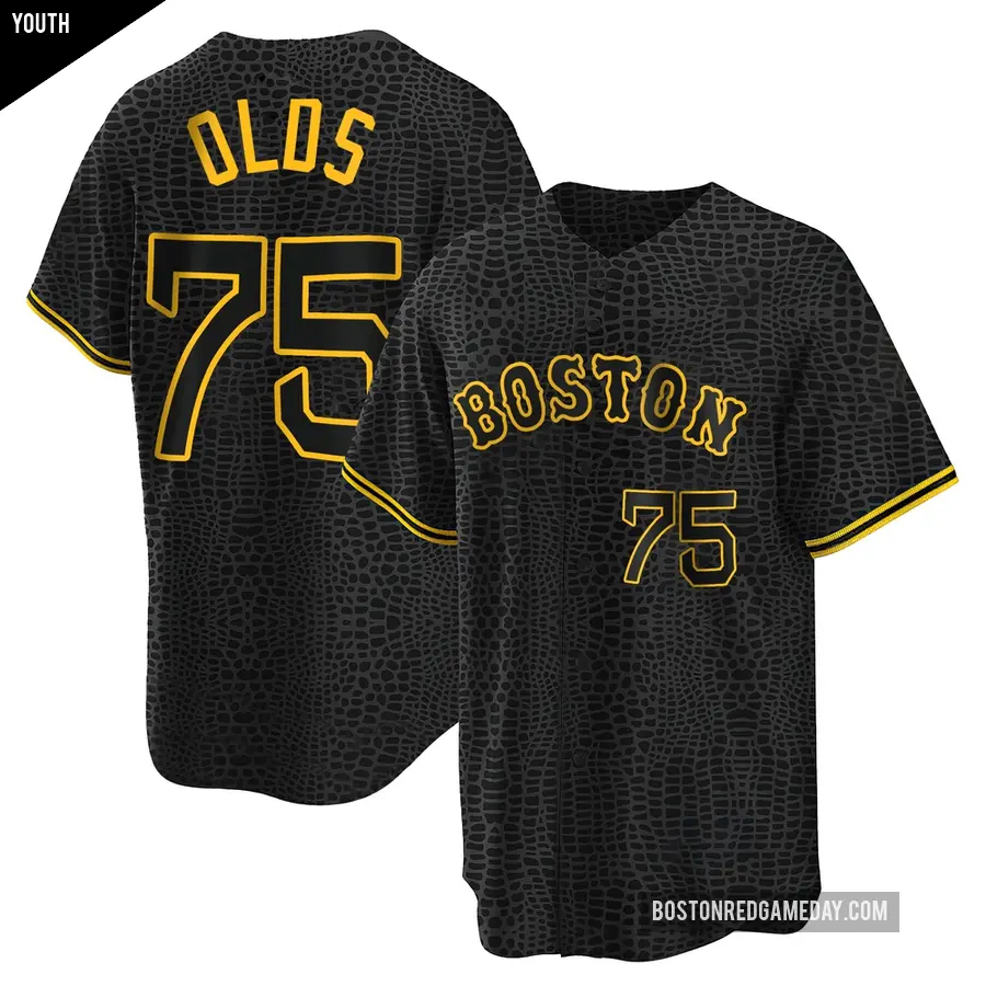 Youth Boston Red Sox ＃75 Wyatt Olds Replica Black Snake Skin City Jersey